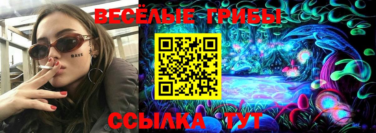 наркотики  Вход с VPN  Партизанск  Галлюциногенные грибы мицелий 